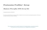 New Human Phospho-RTK Array Kit · 2020. 8. 19. · Human Phospho-RTK Array Kit Proteome Profiler TM Array This package insert must be read in its entirety before using this product.