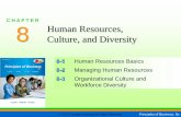 Human Resources, Culture, and Diversityhespinosa.weebly.com/uploads/2/3/5/5/23554876/pob_ch08.pdf · © 2012 Cengage Learning. All Rights Reserved. Principles of Business, 8e C H