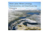 Arctic Lakes: Winter Limnology, Hydrodynamics, and ... · Arctic Lakes: Winter Limnology, Hydrodynamics, and Greenhouse Gas Emissions Sally MacIntyre University of California at Santa