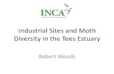 Industrial Sites and Moth Diversity in the Tees Estuary Moth...Habitat Diversity Weathered slag supports a diverse species-rich grassland. Defined as OMH, a national priority habitat.