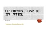 New Chapter 2 Bozeman Chemical Basis of Life - Biology 12schmittbio12.weebly.com/.../the_chemical_basis_of_life.pdf · 2019. 9. 2. · Bozeman –Chemical Basis of Life •describe