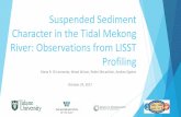 Suspended Sediment Character in the Tidal Mekong River: … · 2017. 11. 16. · Diana R. Di Leonardo, Mead Allison, Robin McLachlan, Andrea Ogston Thank you to: Office of Naval Research