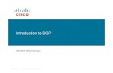 Introduction to BGP - SourceForgedslrouter.sourceforge.net/stuff/cisco/bgp-0.pdf · BGP neighbour status Router1>sh ip bgp sum BGP router identifier 100.1.15.224, local AS number