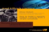 Axel Ullrich Lecture - biochem.mpg.de · Max-Planck Institut of Biochemistry Am Klopferspitz 18, 82152 Martinsried. Title: 20180807_Poster.indd Created Date: 10/17/2018 9:00:06 AM