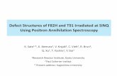Defect Structures of F82H and T91 Irradiated at SINQ Using … · 2018. 12. 10. · Defect Structures of F82H and T91 Irradiated at SINQ Using Positron Annihilation Spectroscopy K.
