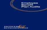 Employee Benefit Plan AuditsS... · and limited scope audits of defined contribution plans, defined benefit plans, ESOPs, and health and welfare plans. The status of the CPA’s license
