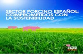 SECTOR PORCINO ESPA£â€OL: COMPROMETIDOS CON LA SOSTENIBILIDAD enfocada en la reducci£³n del impacto ambiental