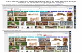 PSY 225 (Professor Gernsbacher): How to Use Google Image ... · Now all the images that appear on the Google search results will be ﬁltered for non-commercial reuse OR for non-commercial