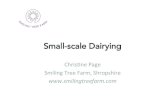 ss02 - Small-scale Dairying · 2016. 9. 29. · ss02 - Small-scale Dairying.pptx Author: Dan Champion Created Date: 20160929125008Z ...