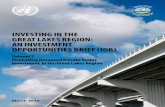InvestIng In the great Lakes regIon: an Investment ... 6 ENG Volume1.pdf · Investing in the Great Lakes Region: ... DFID UK Department for International Development DRC Democratic