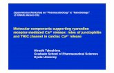 Presentation: Hiroshi Takeshima...MG33 MG56 structure function synaptophysin family multi-TMs MORN motif protein RBCC family trimer of multi-TMs single TM (junctophilin) T-SR structure?
