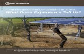 Rural Electrification Concessions in Africa: What Does ......proach to rural electrification is a promising solu-tion (and the authors believe that, under certain conditions, concessions