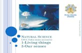 UDI 3. Todos somos necesarios 1-Living things 3-Our senses · Todos somos necesarios 1-Living things 3-Our senses 2018-9. 2018-9 1. CLASSIFYING LIVING THINGS We can clasify living