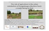 Colloque international Agricultures urbaines durables ......The roleof agriculture in the urban metabolismof Ouagadougou (Burkina Faso): a model facingitslimit Fanny Augis, Université