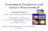 Cosmological Simulations with Galactic Wind Feedbackadlibitum.oats.inaf.it/barai/Talks-Posters/2012/... · LT-GADGET3 code: Sub-Grid Galaxy Physics Incorporated • Metal-line cooling