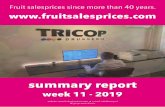 Week 11 summary - storage.googleapis.com€¦ · week 11 - 2019 website: • e-mail: info@tricop.nl All prices are in Euro’s Fruit salesprices since more than 40 years. . Apples