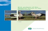 Risk analysis of the Egyptian Goose in The Netherlands...Sep 30, 2010  · Van daaruit reikt de kolonisatie inmiddels tot in Frankrijk. Momenteel bedraagt de omvang van de geïntroduceerde