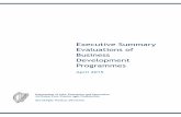 Executive Summary Evaluations of Business Development ... · Development and Mentoring Enterprise Ireland Leadership 4 Growth (2006-2010) Enterprise Ireland International Selling