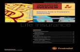 CREATED EXCLUSIVELY FOR FINANCIAL PROFESSIONALS ...docs.crumplifeinsurance.com/documents/prufullguide.pdfClass C 100 ≤52 248 257 266 275 284 293 302 312 322 331 341 351 362 372 Class