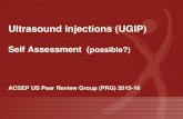 Ultrasound injections (UGIP) conf preso's... · Preliminary scan Theme Task Calssification Difficulty rating Did the operator identify the relevant surface anatomy prior to scanning?