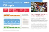 Rapid country assessment July 2020 Ethiopia · Food system activities Environmental drivers Food security Food system outcomes Rapid country assessment Ethiopia July 2020 The impact