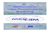 New MEDiterranean Large Elasmobranchs Monitoring · 2019. 5. 23. · relative al programma MEDLEM (MEDiterranean Large Elasmobranchs Mo-nitoring). La necessità di aggiornare e implementare