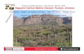 New Power Amplifier Seminar, John Brown, Month, 200x Saguaro …files.domcxem.ru/infocenter/Усилители... · 2016. 6. 22. · 1 Saguaro Cactus Sabino Canyon Tucson, Arizona