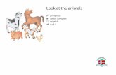 Look at the animals - Global Storybooks · The horse says, “Neigh.” 5. The pig says, “Grunt.” 6. The chicken says, “Cluck.” 7. The dog says, “Woof.” 8. The farmer