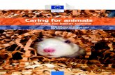 Caring for animals - European Commission · animals, the use of live animals continues to be necessary to protect human and animal health and the environment. However, this Directive