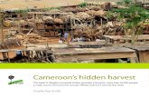 Cameroon’s hidden harvest - CIFOR · 2 Cameroon’s hidden harvest Cameroon’s hidden harvest 3 ‘There are about 20 barriers on the road between Bertoua and the border, manned