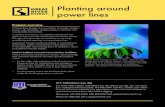 Planting around power lines - Dakota Electric Association · ° During storms, falling limbs or trees can bring down power lines, creating dangerous situations and causing power outages.