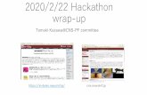 2020/2/22 Hackathon wrap-up - INCF Japan Node · What is Standard 3D viewer and its GUI manipulations ? •Survey of Standard 3D view •Yokota G • Blender • Meshlab •WE use