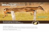 qdma’s WhitetailReport 2010 - Quality Deer Management Association€¦ · of white-tailed deer, the foundation of the hunting industry in North America. Compiled and Written by: