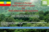 Ethiopia’s R-Package: REDD+ Readiness Progress and Multi ... · 2d.Social and Environmental Impacts 3.Reference Emissions level/Reference Level 4.Monitoring System for Forest and