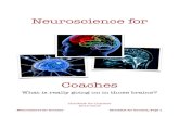 Neuroscience for Coaches Checklistneuroscienceforcoaches.com/wp-content/uploads/2012/10/Neurosci… · could enrich your Coaching. It is our belief that within ﬁve years all Coaches