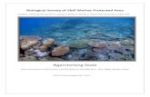 New Biological Survey of Ebiil Marine protected areapicrc.org/picrcpage/wp-content/uploads/2016/01/Koshiba... · 2017. 10. 6. · Biological Survey of Ebiil Marine Protected Area