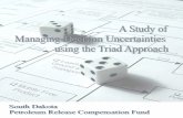 New A Study of - CLU-IN · 2011. 3. 21. · A Study of Managing Decision Uncertainties Using the Triad Approach South Dakota Petroleum Release Compensation Fund June 15, 2005 Dennis.Rounds@state.sd.us