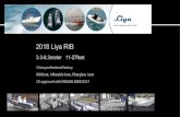 New 2018 Liya RIB - lion marinelion-marine.com/wp-content/uploads/2018/03/Lion-Luxury... · 2018. 3. 18. · 2018 Liya RIB 3.3-8.3meter 11-27feet China professional factory RIB Boat,