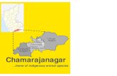 Chamarajanagar - UniKwanunikwan.com/projects/invest/wp-content/uploads/... · Sangama, Om Shanthi Dhama, Mekedatu, Shagya, Bandalli-INR 174 crores T Textiles Chamarajanagar Mega Textile