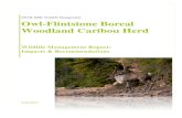 Owl-Flintstone Boreal Woodland Caribou Herdportfoliosabinamast.weebly.com/uploads/2/4/6/9/24699116/wildlife... · Owl Flintstone herd is listed as a “high conservation status”,