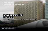 New CARTELS 2019 - LEX Africa · 2019. 12. 10. · South Africa Pieter Steyn has been a director of Werksmans since 1996. He heads the compe-tition law practice group of LEX Africa,