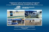 Cigarette Litter Prevention Program Virginia Beach Oceanfront ......Virginia Beach Oceanfront, 2017 A Program for Reducing Cigarette Litter in a Beach Resort Area Final Report to Keep