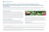 Rose Mosaic Virus: A Disease Caused by a Virus Complex and ...The major source of rose mosaic virus disease transmission occurs through the budding or grafting of infected buds or