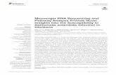 Messenger RNA Sequencing and Pathway Analysis Provide ... Peng et al 2018 Fro… · fgene-09-00256 July 11, 2018 Time: 18:2 # 1 ORIGINAL RESEARCH published: 13 July 2018 doi: 10.3389/fgene.2018.00256