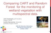 Comparing CART and Random Forest for the monitoring of ...€¦ · CART and Random Forest presentation ... Cart was implement in R using the package Rpart Presence = « 1 » ; absence