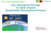 CO2 Geological Storage In Salah Algeria Sustainable ... · (Carbonates) 80 000 000 Organic Material 42 000 Atmosphere 825 Source : Actu-Environnement CO2 Geological storage reinject