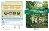 FOR ALL THE LIFE ON EARTH - kyushu.env.go.jpkyushu.env.go.jp/okinawa/awcc/pamphlet/alien/mangoose_english.pdf · FOR ALL THE LIFE ON EARTH Biodiversity Edited by : Japan Wildlife