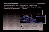 Evaluation of Juvenile Salmon Production in 2009 from the ...€¦ · Evaluation of Juvenile Salmon Production in 2009 from the Cedar River and Bear Creek ii Acknowledgements Evaluations
