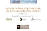 Agriculture and forests facing climate change. How to ...caets2018.aniu.org.uy/wp-content/uploads/2018/09/6-CAETS-2018-2018… · - ‘Hotter drought’an emerging characteristic