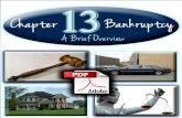 Introduction - Sebo Bankruptcy Attorney Marketing Programsebobankruptcysites.com/wp-content/uploads/2013/07/Chapter-13... · anything they find to be inaccurate. Your attorney can